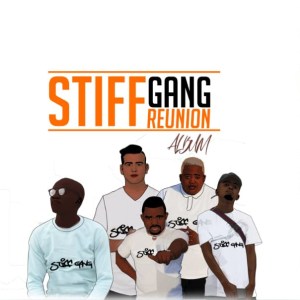 Stiff Gang - The Stiff Gang Reunion (Album)
