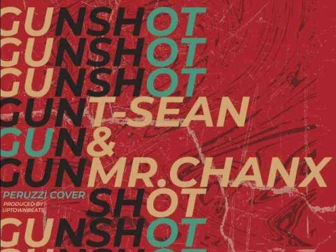 DOWNLOAD T-Sean ft. Mr Chanx – “Gunshot (Peruzzi cover)” Mp3