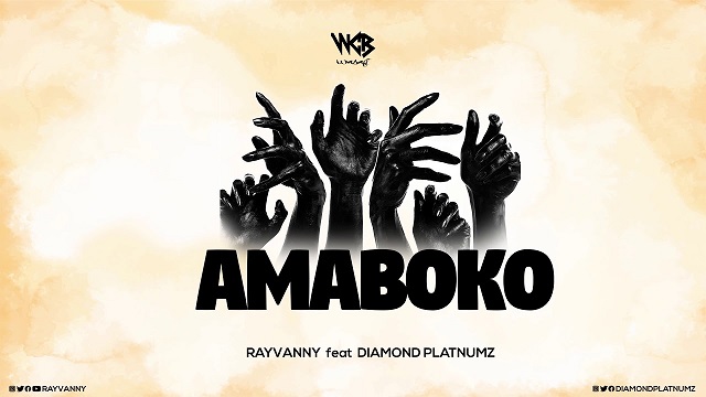 Rayvanny Amaboko