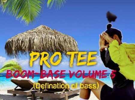 Pro-Tee – Boom-Base Vol 5