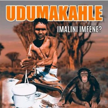 Udumakahle Nkosi – Imalini Imfene