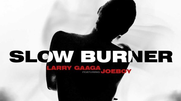 Larry Gaaga Slow Burner