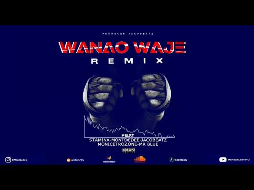 Stamina, MontDedee, Jacobeat, Mr blue, Moni Centrozone - Wanao Waje (Remix)
