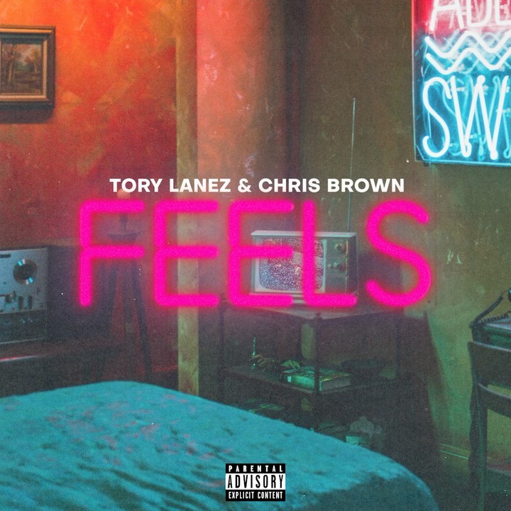 AUDIO :Chris Brown - WE (Warm Embrace) |Mp3 Download