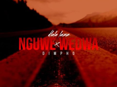 Dlala Lazz & Dimpho – Nguwe Wedwa
