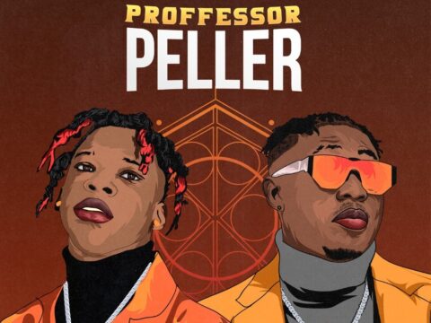 Seyi Vibez Professor Peller