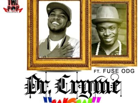 Dr Cryme - Wow Ft. Fuse ODG