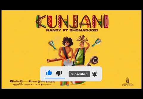 Nandy ft sho madjozi - Kunjani (Official Audio)