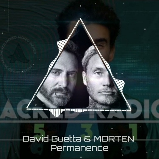 David Guetta & MORTEN Permanence Mp3 Download