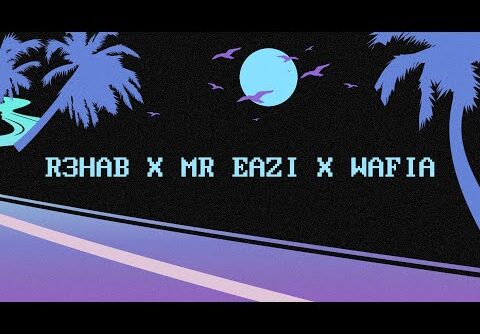 R3HAB x Mr Eazi x Wafia - I Wanna Run Away (Official Lyric Video)
