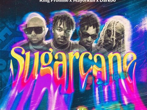 Camidoh – Sugarcane (Remix) ft. King Promise, Mayorkun, Darkoo