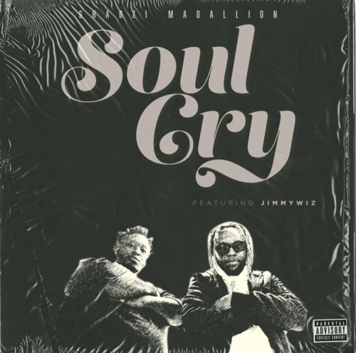 Shabzi Madallion - Soul Cry ft. Jimmy Wiz